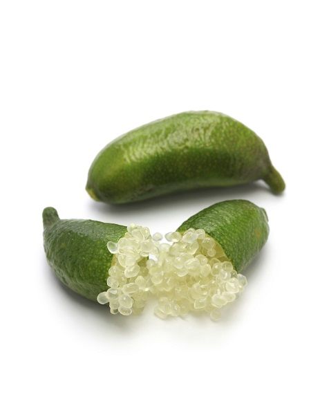 Parmak%20Limon%20Fidanı%20,%20Finger%20Lime%20+150%20cm%20Torbalı